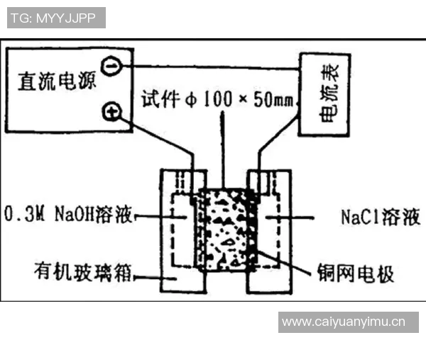 武汉羽毛球队边路渗透战术分析及其对比赛结果的影响探讨 武汉羽毛球队边路渗透战术分析及其对比赛结果的影响探讨