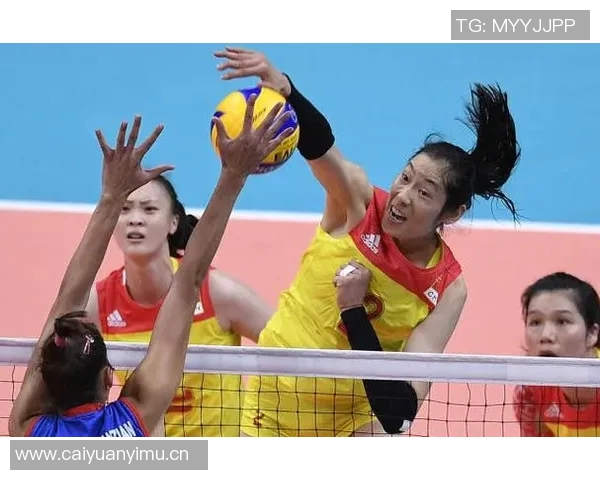 深圳排球队的蜕变与成长:一段关于拼搏与团结的排球纪实之旅 深圳排球队的蜕变与成长:一段关于拼搏与团结的排球纪实之旅